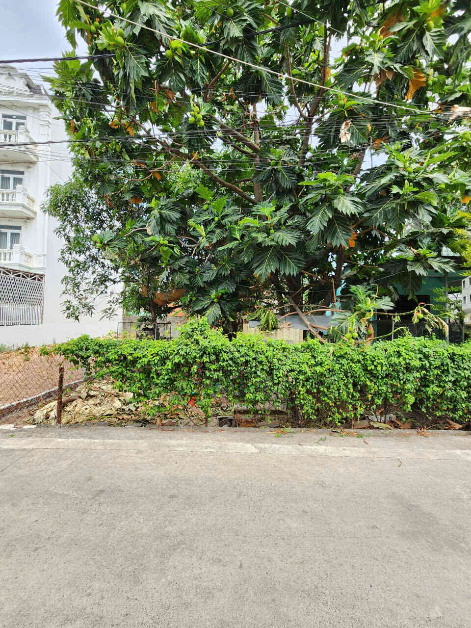 Bán đất 7.5x26m, hẻm Võ Thị Sáu p. Đông Hòa